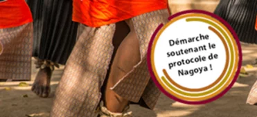 Our partnes are comitted to this project