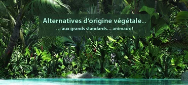 alternatives of plant origin