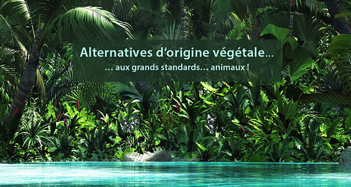 alternatives of plant origin