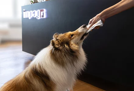 Health for humans and animals – opportunities in a growth market 