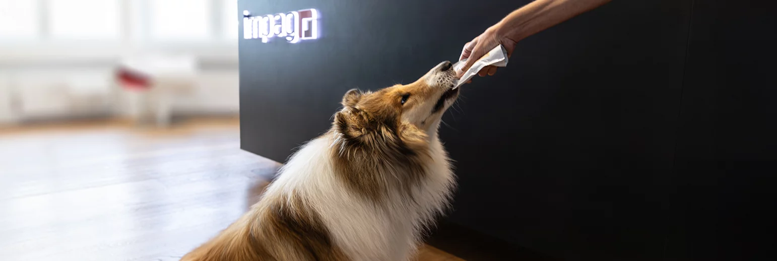 Health for humans and animals – opportunities in a growth market 